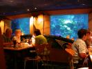 The Coral Reef Restaurant